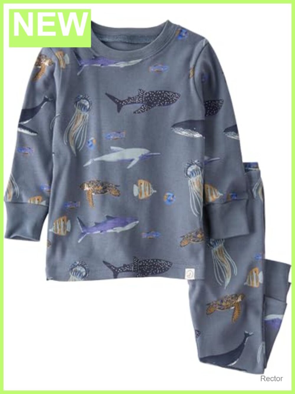 Organic Cotton 2-Piece Pajama Set Snug Fit Long Sleeve Toddler Sleepwear